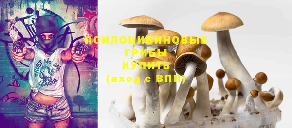 прущие крисы Балахна